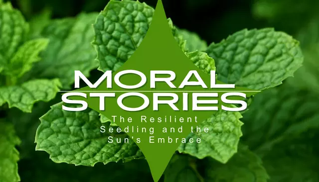 Moral Stories: The Resilient Seedling and the Sun's Embrace