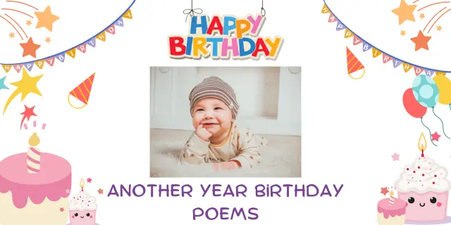 Another Year Birthday Poems